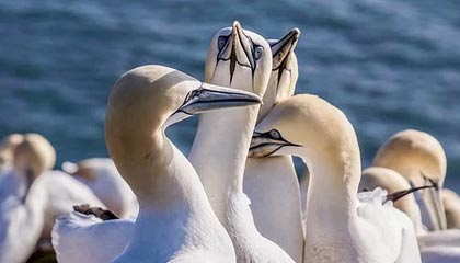 广东汕头2名孩童河边玩耍不幸溺亡