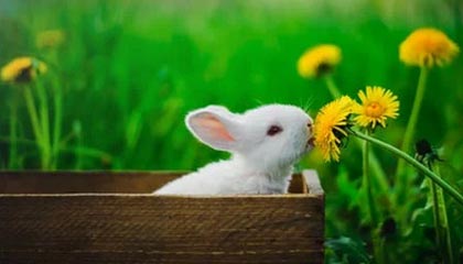 时政微纪录丨习主席的阿斯塔纳时间