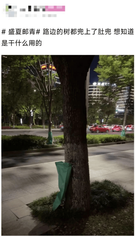 40℃连击！杭州街头突现“绿肚兜”！市民：给我也来一个就好了…