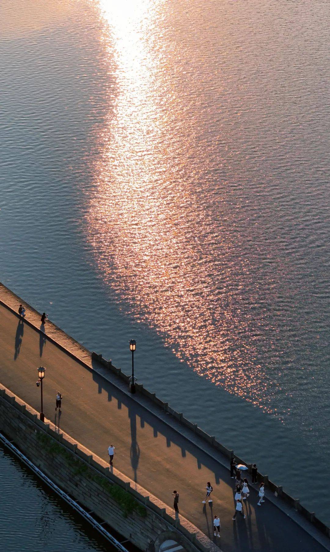 40℃连击！杭州街头突现“绿肚兜”！市民：给我也来一个就好了…