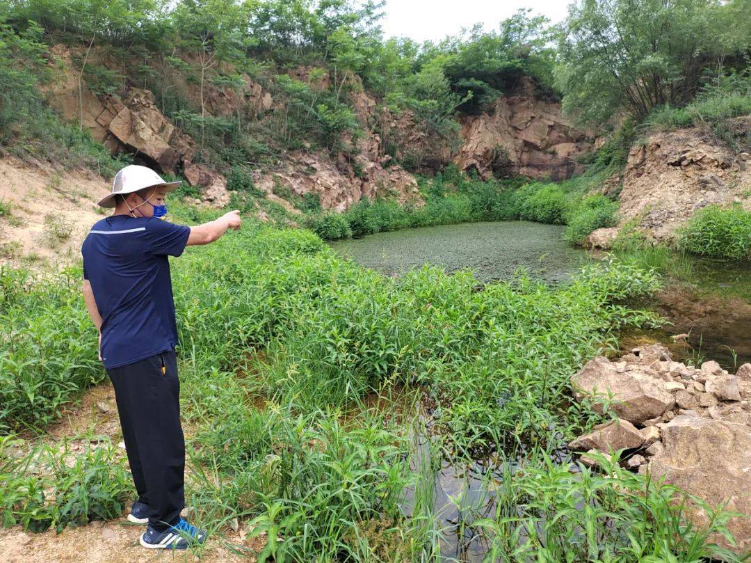 山东乳山非法倾倒固废事件调查