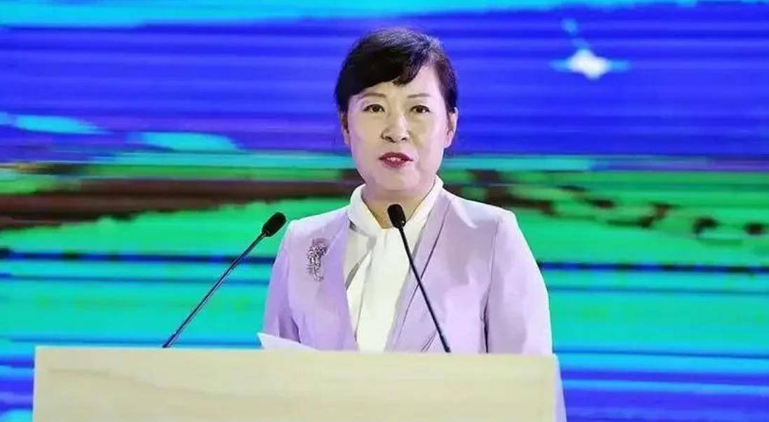 “换装主席”王莉霞的堕落:从光鲜人设到腐败深渊