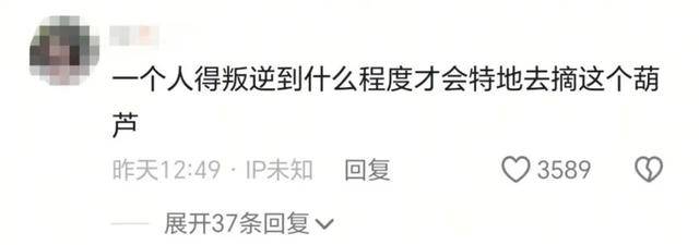 一个葫芦，怎么就惹了众怒？