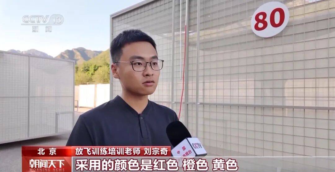 明天将放飞8万羽和平鸽、8万只气球,揭秘!