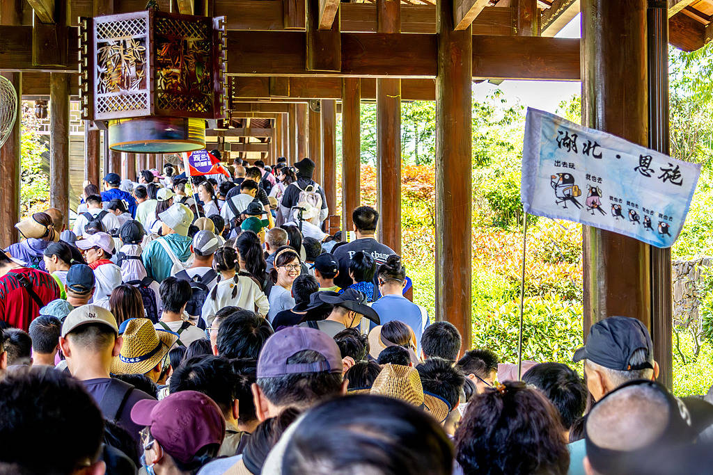 5A级景区付费可“插队”?市场手段用错了地方