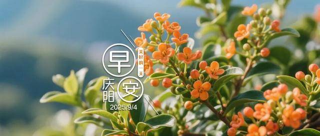 早安庆阳丨局地暴雨、冰雹或雷雨大风!甘肃将迎大范围降温降水