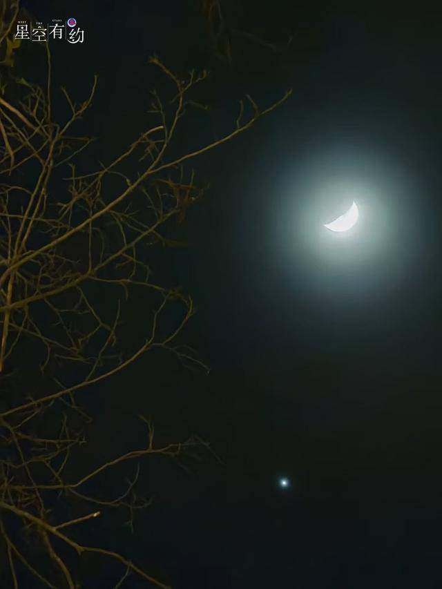 星空有约丨10月“星空剧场”收视指南新鲜出炉