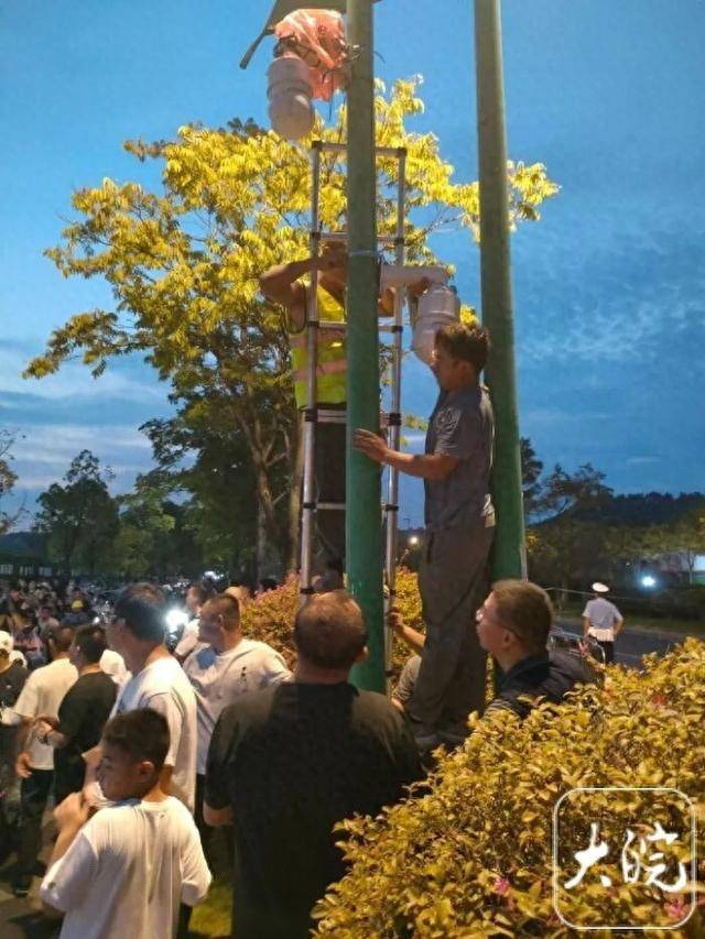 “鸡排哥”联手亲属摆出了5个摊位,隔壁阜阳摊主利润翻两番!