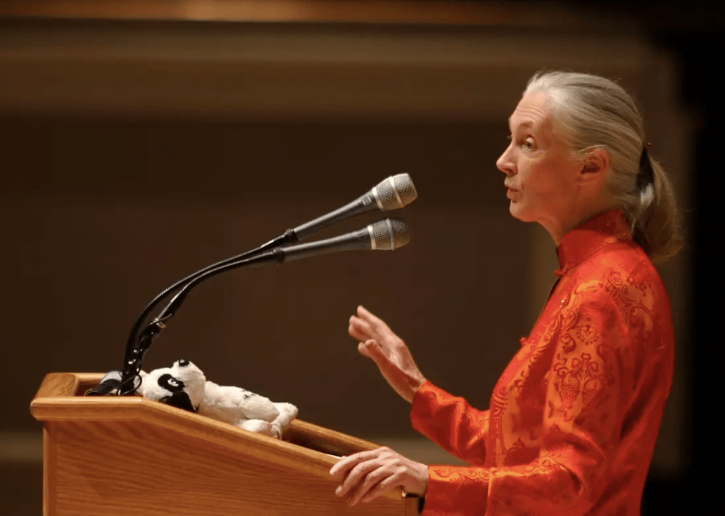 91岁传奇女科学家去世:没学士学位的剑桥博士,科学发现颠覆人类认知,每年300天全球演讲