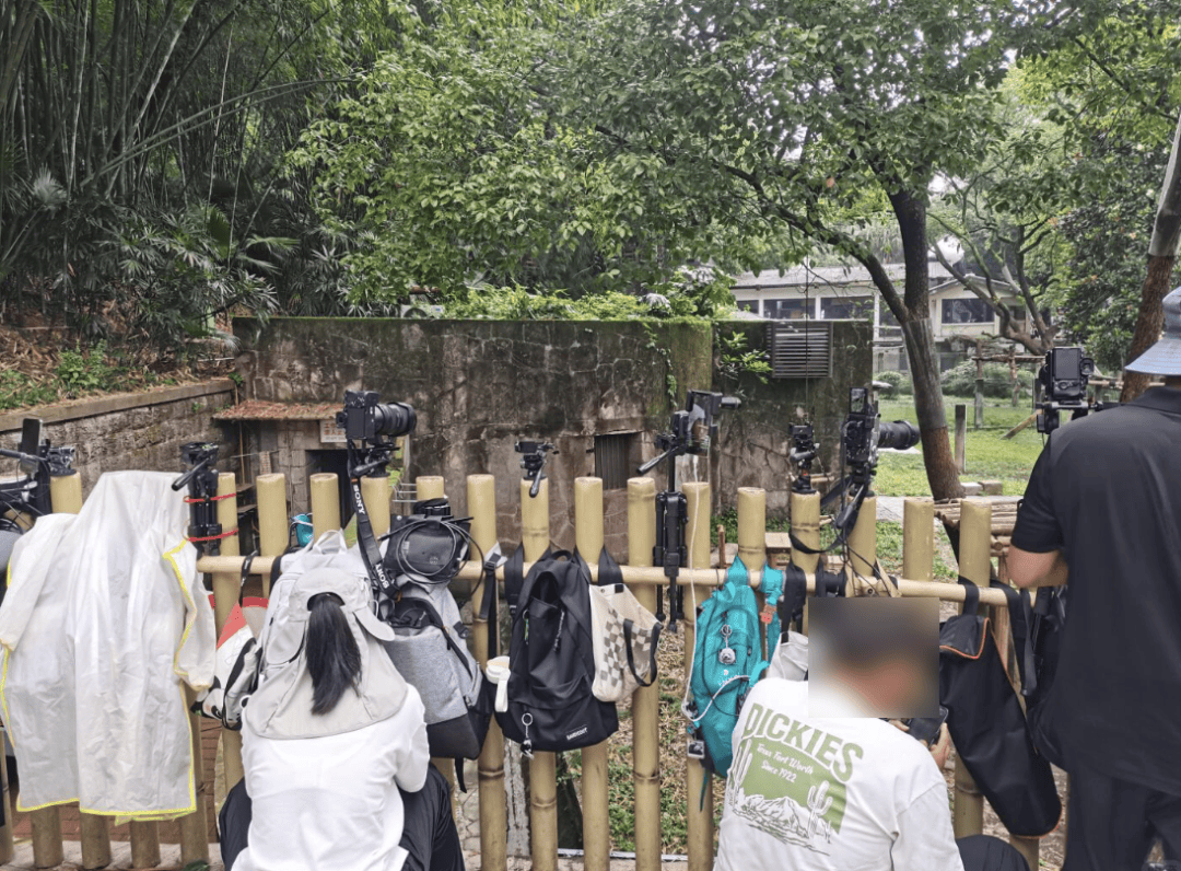 “室友天天在宿舍直播”,这届大学生的隐私无处可藏