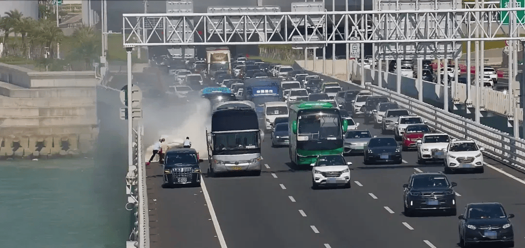 粤B·97821D、粤Z·AG85澳、粤T·91736，你们被拍下来了！