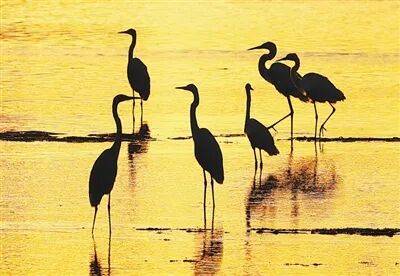 生态文明建设实现新进步（新时代画卷·决战决胜“十四五”）