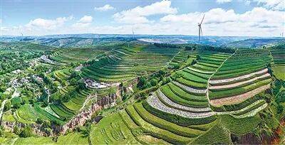 生态文明建设实现新进步（新时代画卷·决战决胜“十四五”）