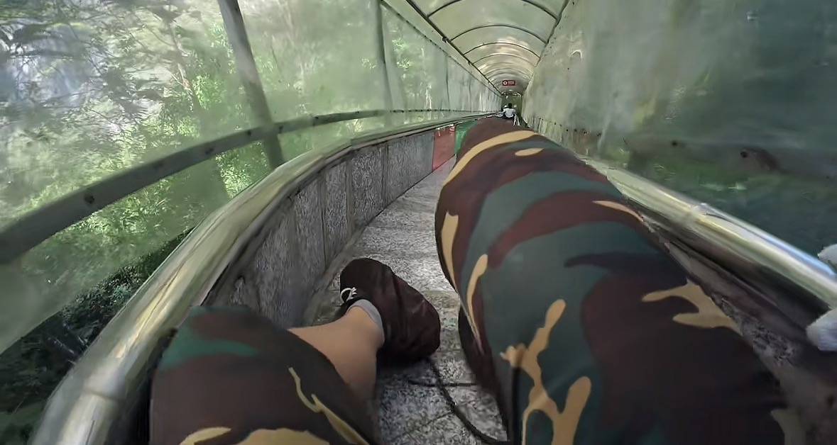 游客称在广西丹炉山滑道遇蛇,景区致歉:这么多年就这一次,每年都做防蛇处理