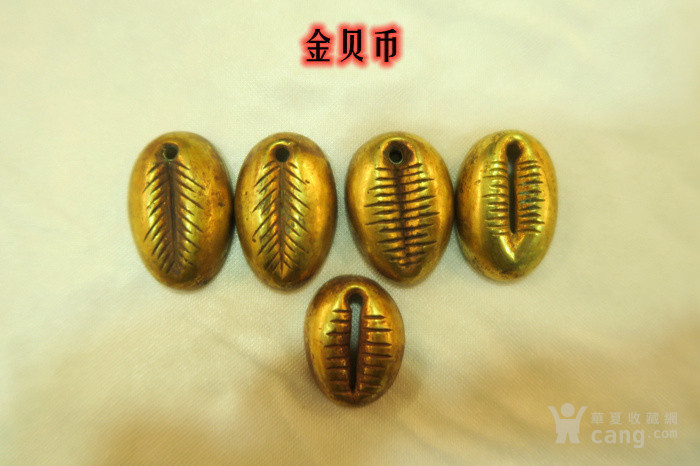 金贝币(金贝币图片)