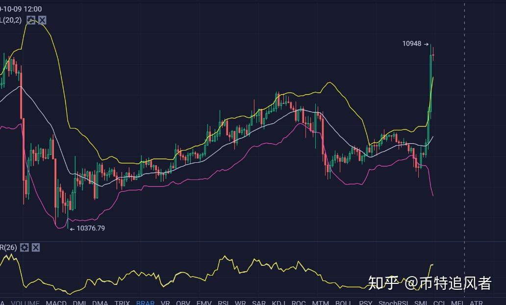 币果(匹诺曹的谎言给不给黑猫金币果)