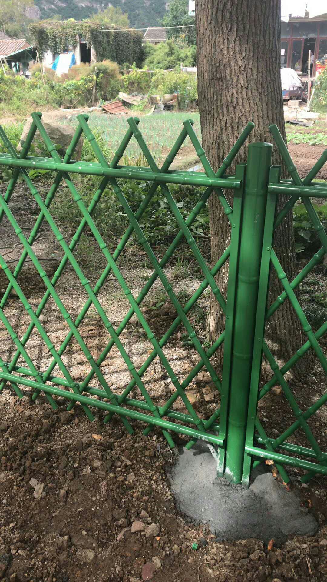 城市币(城市的英文)