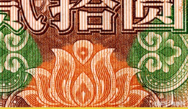 币爱(币爱鲁)
