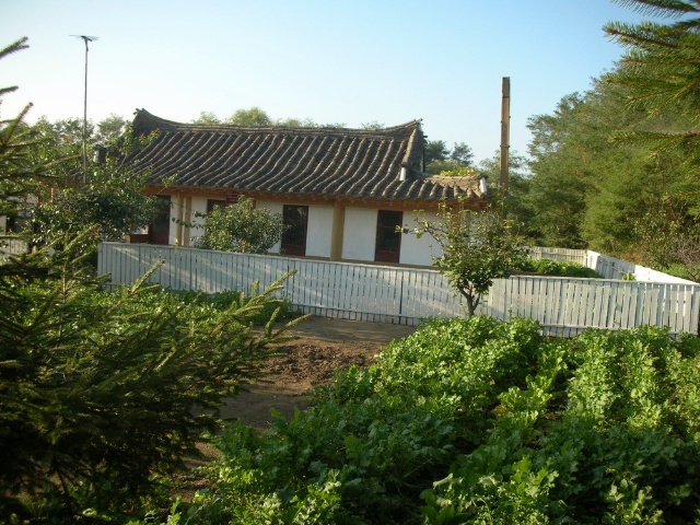 小费币(小费币tip)