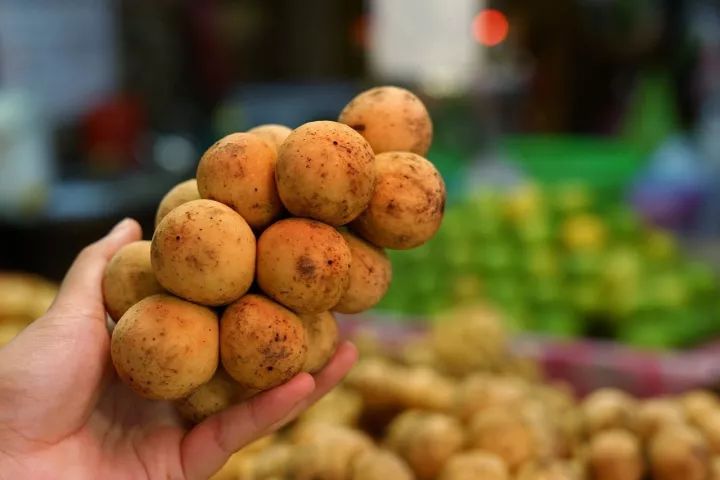 币果(币圈交易平台官网)
