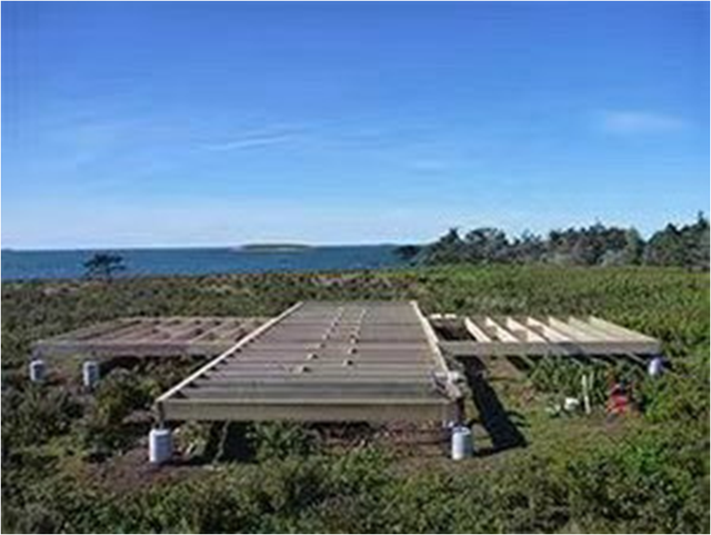海岛币(海岛币在哪里换)