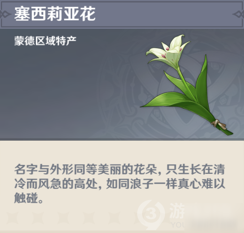 给力币在哪花(给力赚升级礼包)