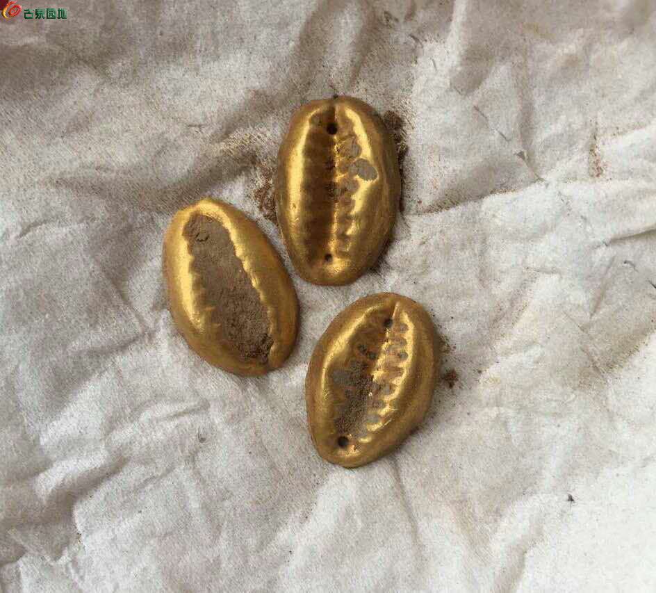 金贝币(金贝币拍卖纪录)