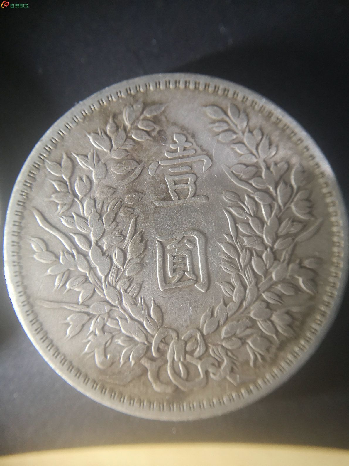 大头币的价格(大头币的价格片)
