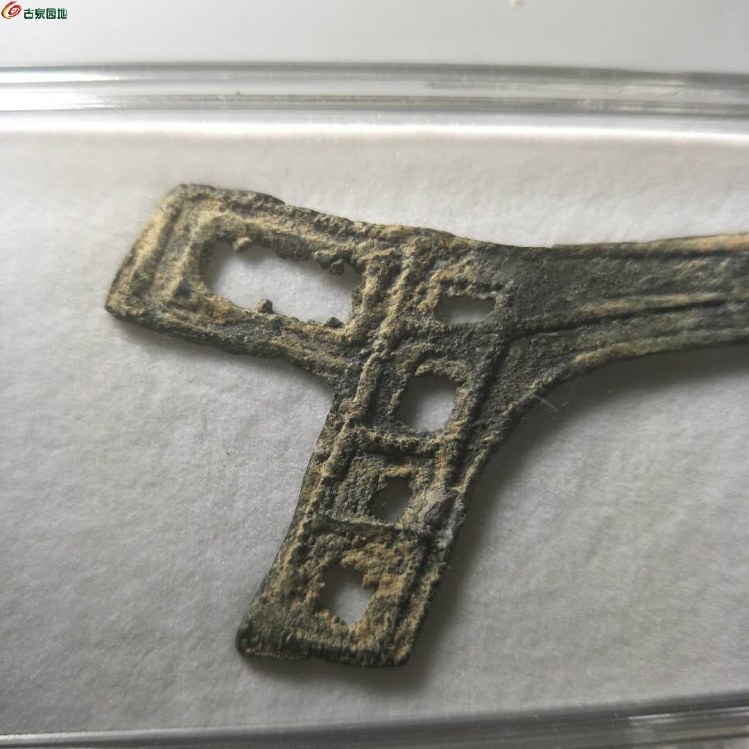 戈币(戈币怎么读)