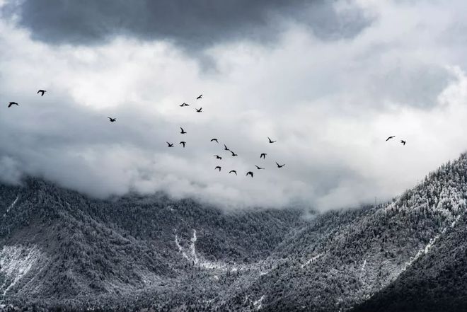 币圈寒冬(币圈 凉了)
