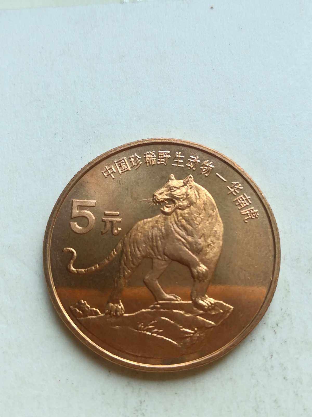 虎币(虎刺红)