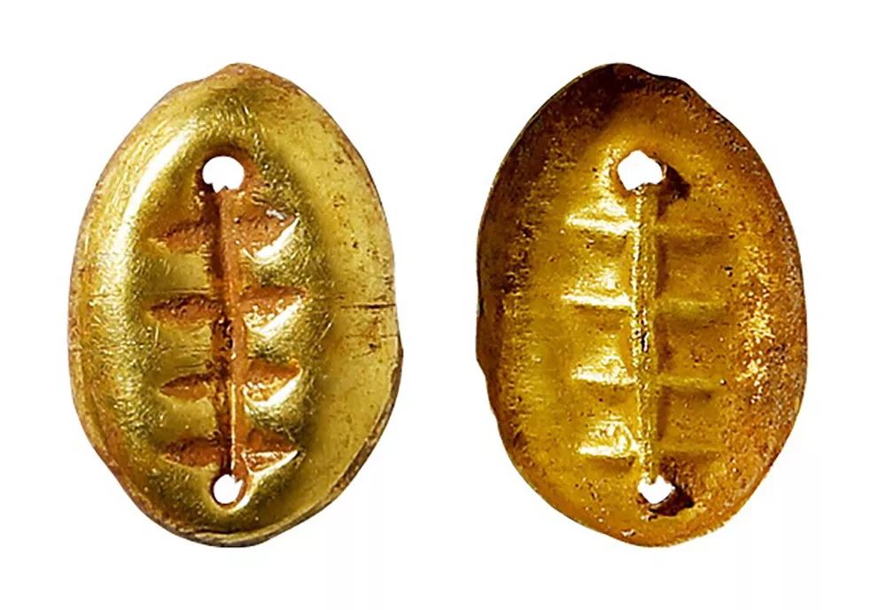 金贝币(金贝币是金子做的吗)