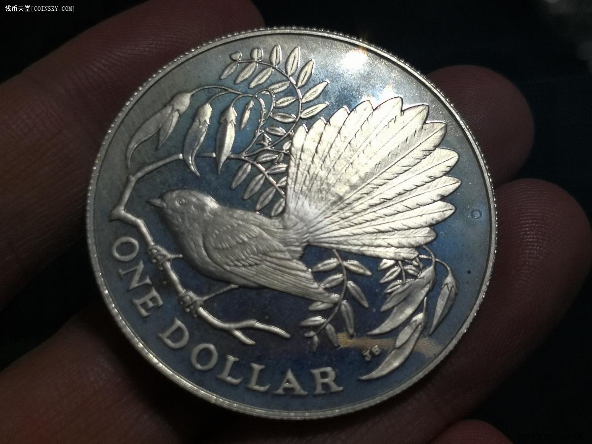 币鸟(币鸟合起来怎么读)