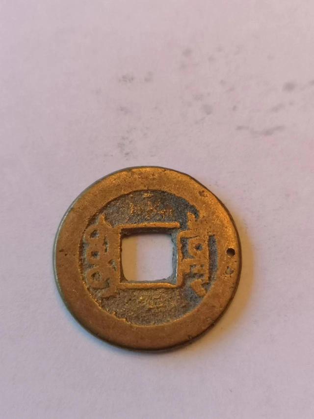 清币(清血八味胶囊的功效作用是真的吗)