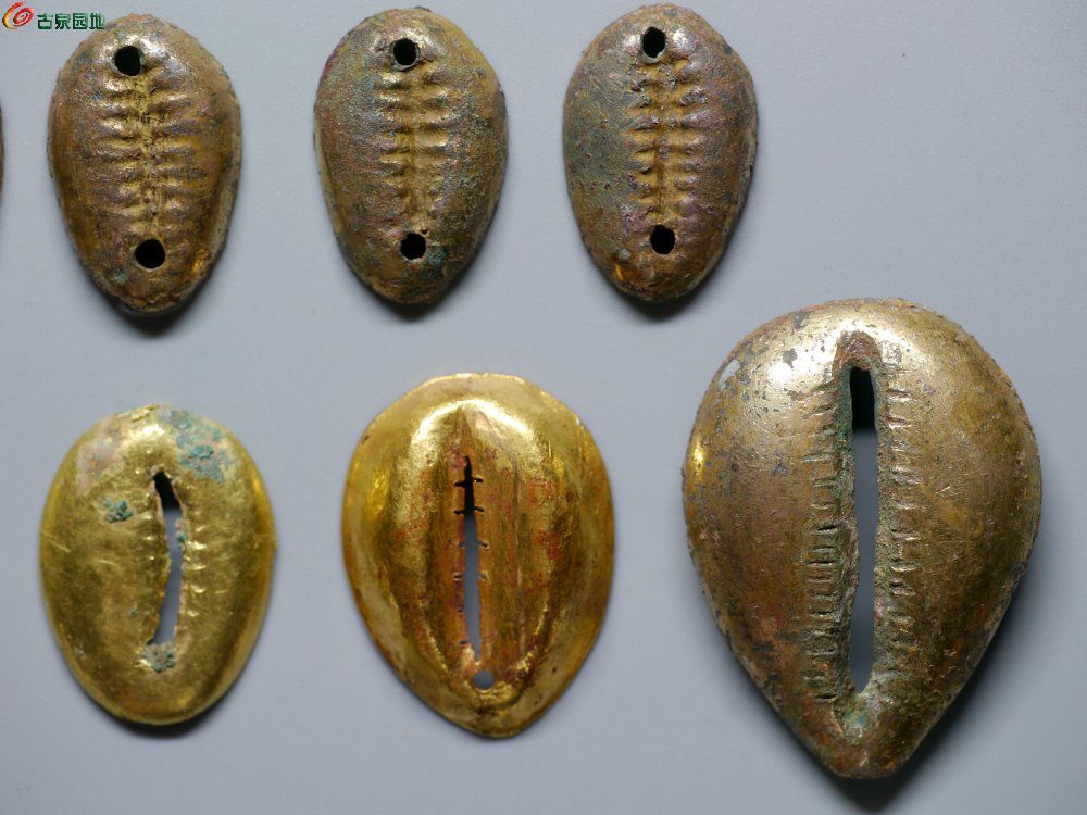 金贝币(金贝币拍卖)