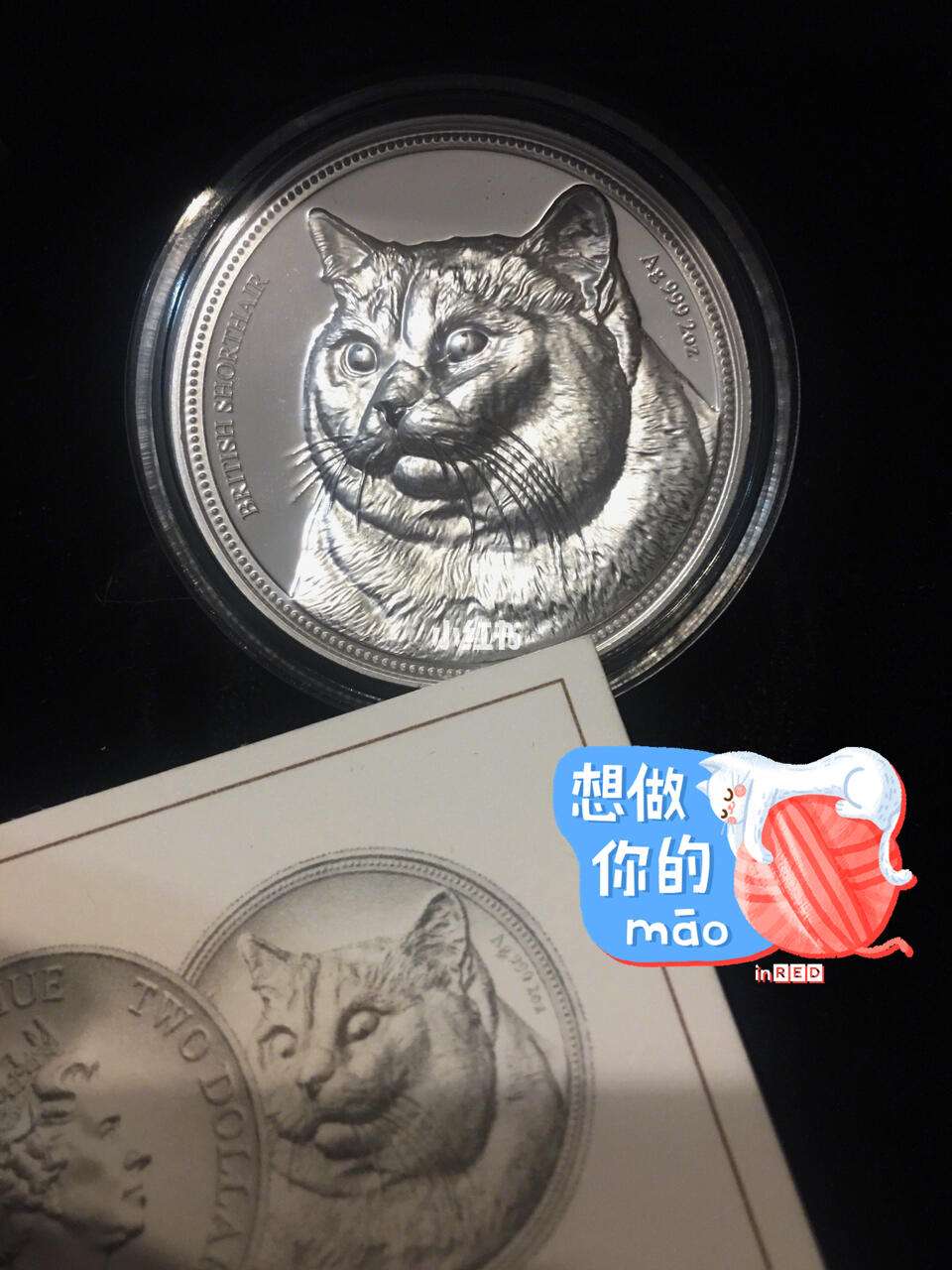 币猫(币猫李昆运)