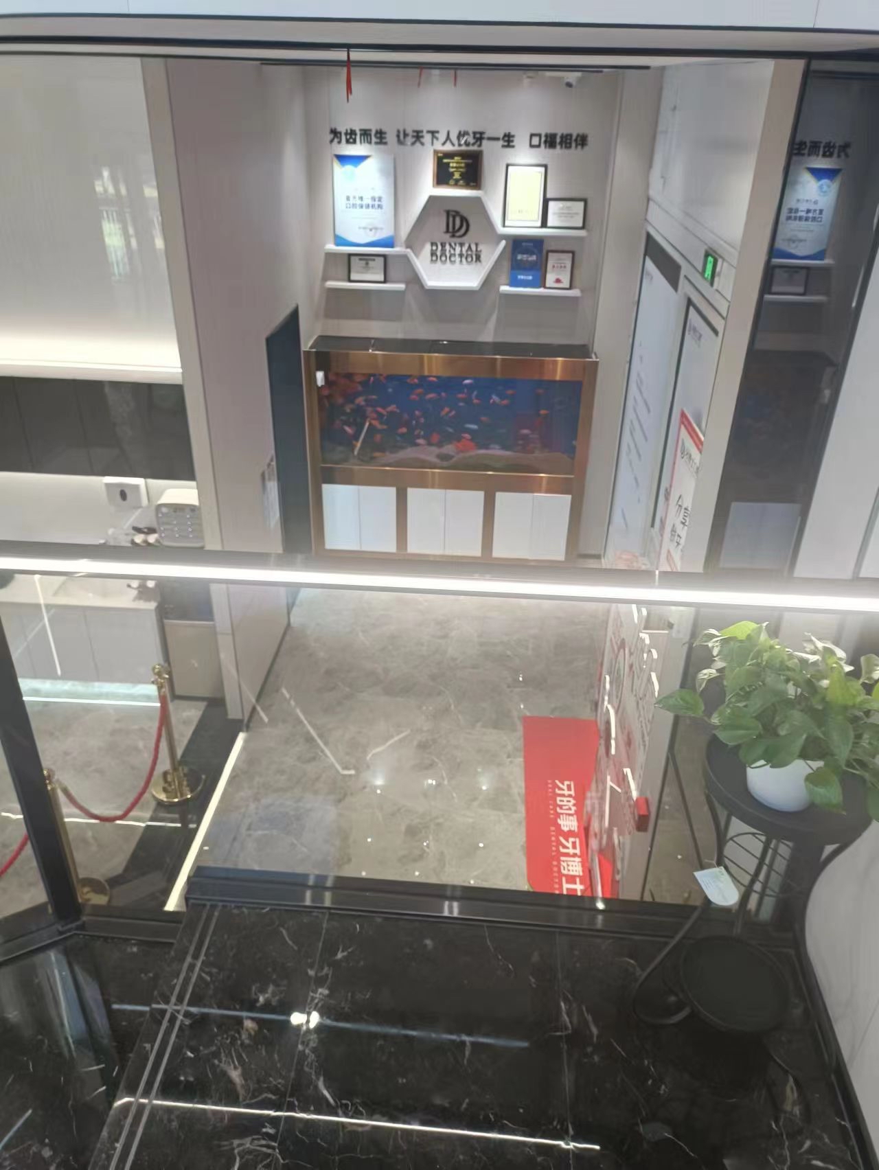 w币(w币价格)