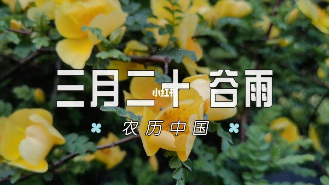 农币(农币是阴历还是阳历)