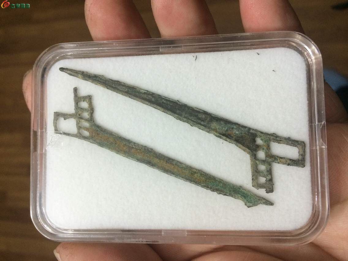 戈币(戈币图片)